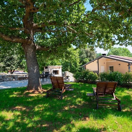 ロヴィニ Old Oak Holiday Houseヴィラ エクステリア 写真